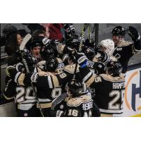 Wheeling Nailers celebrate along the boards