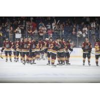 Chicago Wolves lineup