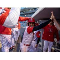 Ottawa Titans exchange high fives in the dugout