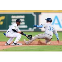 Omar Florentino of the Columbia Fireflies applies the tag vs. the Charleston RiverDogs