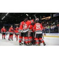 Rockford IceHogs celebrate a goal