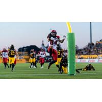 Calgary Stampeders wide receiver Reggie Begelton scores against the Hamilton Tiger-Cats