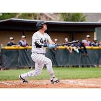 Northern Colorado Owlz at the plate