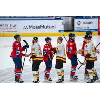 Springfield Thunderbirds and Chicago Wolves shake hands
