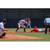 Ben Cowles of the Tampa Tarpons prepares to make the tag against the Clearwater Threshers