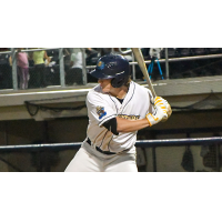 Evan Smith of the Fond du Lac Dock Spiders at bat