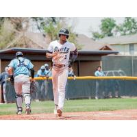 Northern Colorado Owlz outfielder Alex Jackson