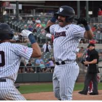 Somerset Patriots' Austin Wells