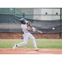 Northern Colorado Owlz in action