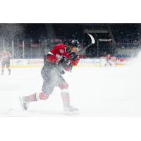 Belleville Senators forward Roby Jarventie