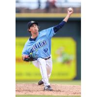 Columbia Fireflies' Frank Mozzicato in action