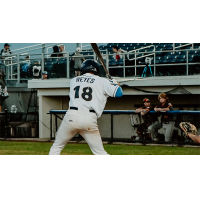 Daylen Reyes of the Fond Du Lac Dock Spiders at bat