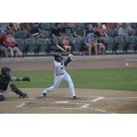 Fayetteville Woodpeckers in action