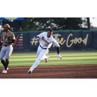 Charleston RiverDogs' Willy Vasquez in action