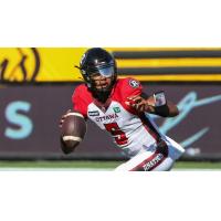 Ottawa RedBlacks quarterback Caleb Evans