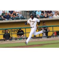 Charleston RiverDogs outfielder Oneill Manzueta