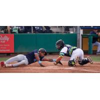 Everett AquaSox catch Ty Duvall applies the tag against the Hillsboro Hops