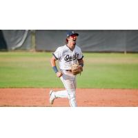 Northern Colorado Owlz in action