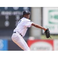 Tampa Tarpons pitcher Joel Valdez