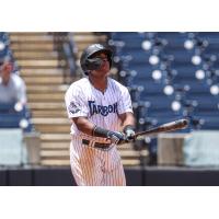 Tampa Tarpons left fielder Christopher Familia