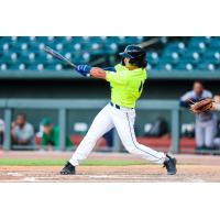 Dayton Dooney of the Columbia Fireflies at bat