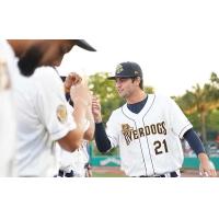 Charleston RiverDogs pitcher JJ Goss