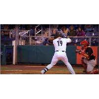 Charlie Welch of the Everett AquaSox at bat