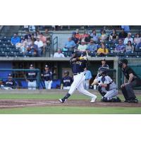 Charleston RiverDogs in action