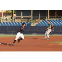 Rome Braves vs. Greensboro Grasshoppers