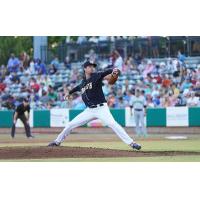 Charleston RiverDogs' JJ Goss in action