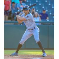 Somerset Patriots' Giancarlo Stanton at bat