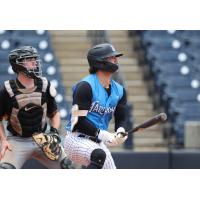 Tampa Tarpons at the plate