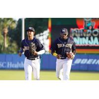 Charleston RiverDogs on game day