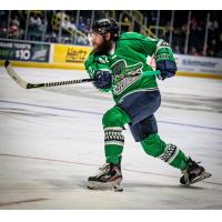 Center Alex Aleardi skating with the Florida Everblades