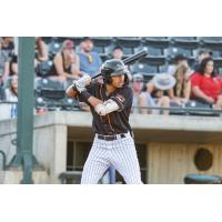 Missoula PaddleHeads outfielder Lamar Sparks