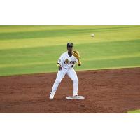 Charleston RiverDogs' Diego Cordero in action