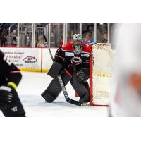 Birmingham Bulls goaltender Austin Lotz