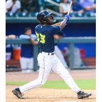 Columbia Fireflies' David Hollie at bat