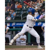 Chris Kwitzer of the New York Boulders at bat