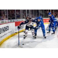 Nick Minerva (#96) battles for the puck as a defensemen for the Wichita Thunder