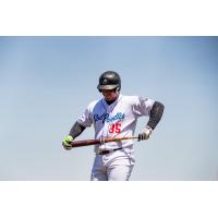 Amarillo Sod Poodles first baseman Leandro Cedeño