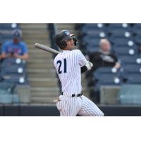 Tampa Tarpons' Glenn Otto at bat