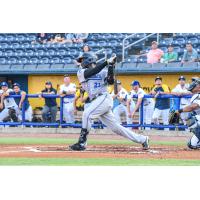 Pensacola Blue Wahoos' Paul McIntosh at bat