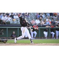 Tri-City ValleyCats at the plate