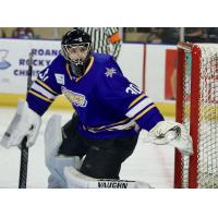 Roanoke Rail Yard Dawgs goaltender Sammy Bernard