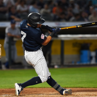 Somerset Patriots' Anthony Volpe at bat