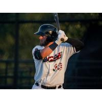 Northern Colorado Owlz' Ronnie Allen at bat