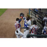 Charleston RiverDogs celebrate win