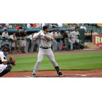 Long Island Ducks' L.J. Mazzilli in action