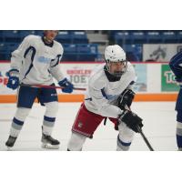 Sudbury Wolves' Lucas Di Giantommaso in action